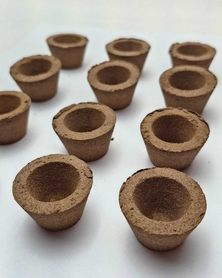 Panchagavya natural cups