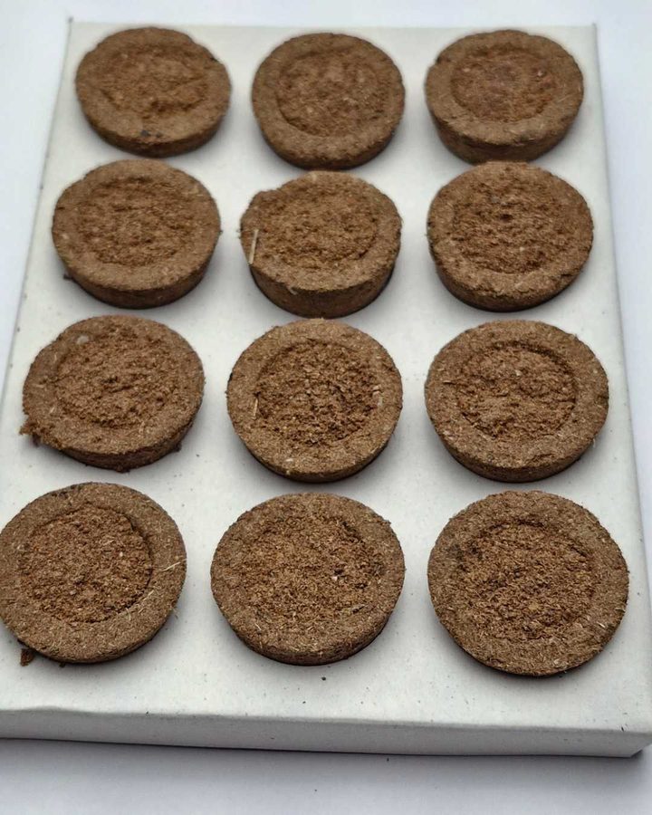 Panchagavya cups flatlay