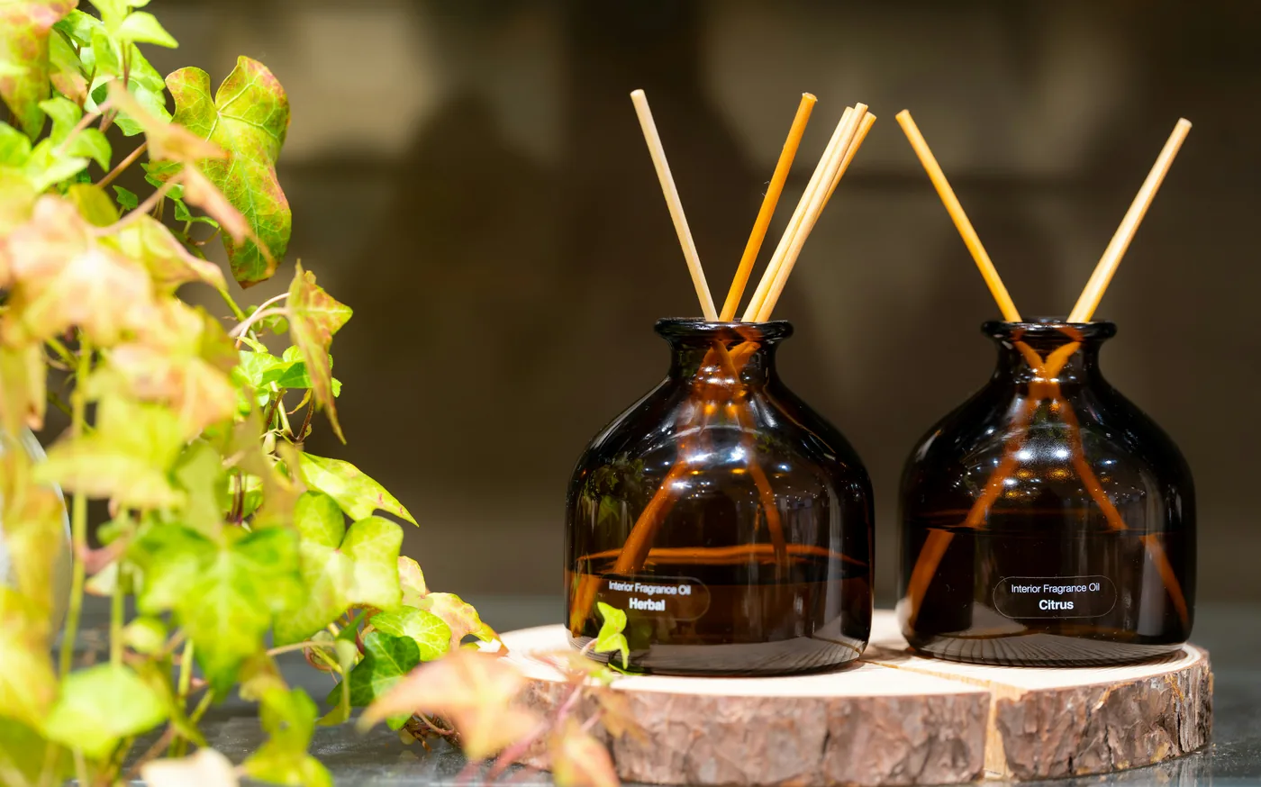 Reed diffuser room freshener format