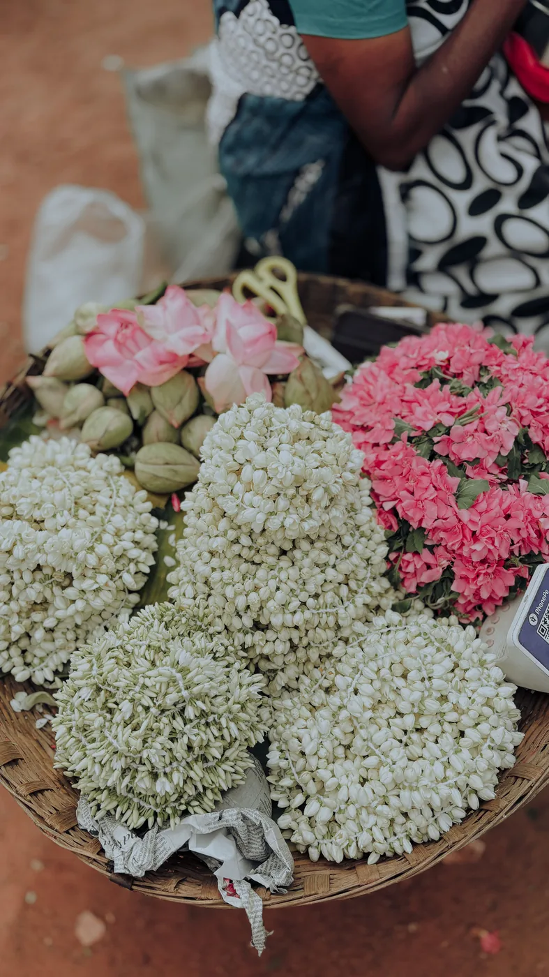 South Indian jasmine flowers room freshener